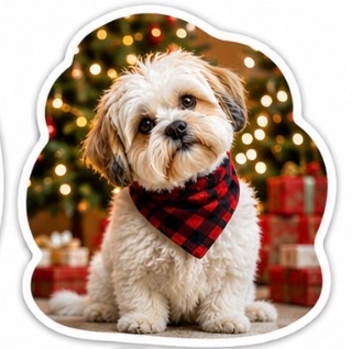 Prompt: Sitting, Christmas
